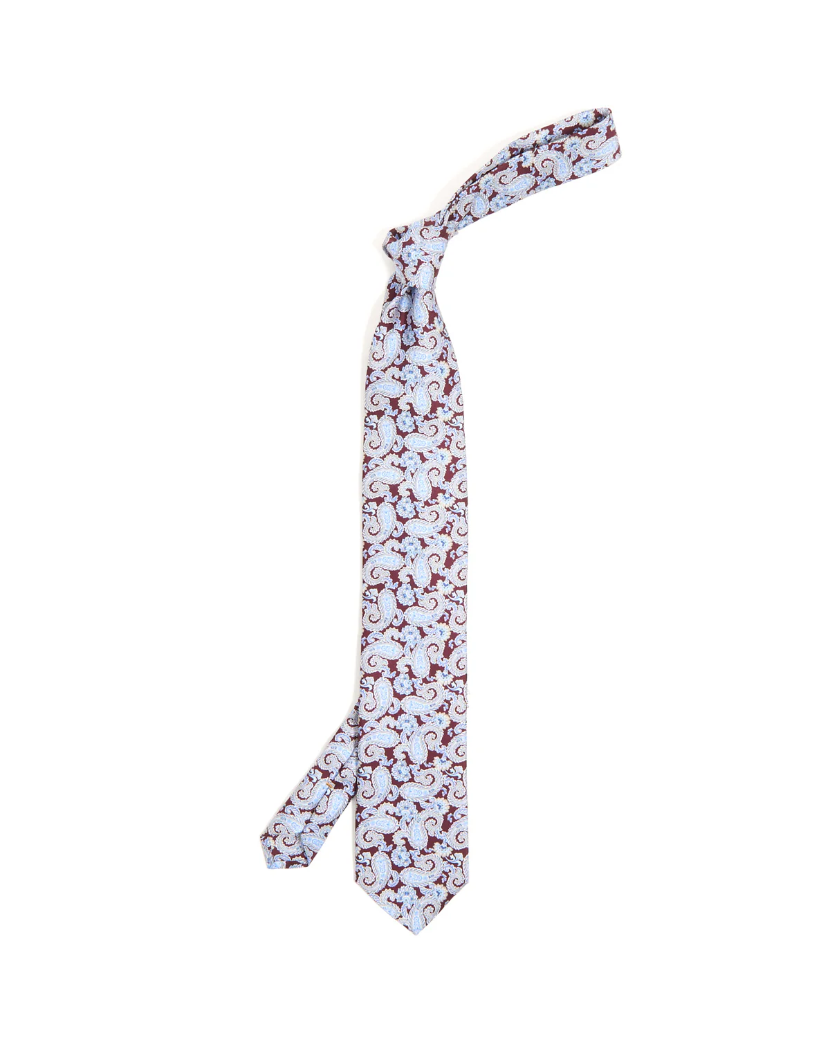 Paisley Printed Silk Tie