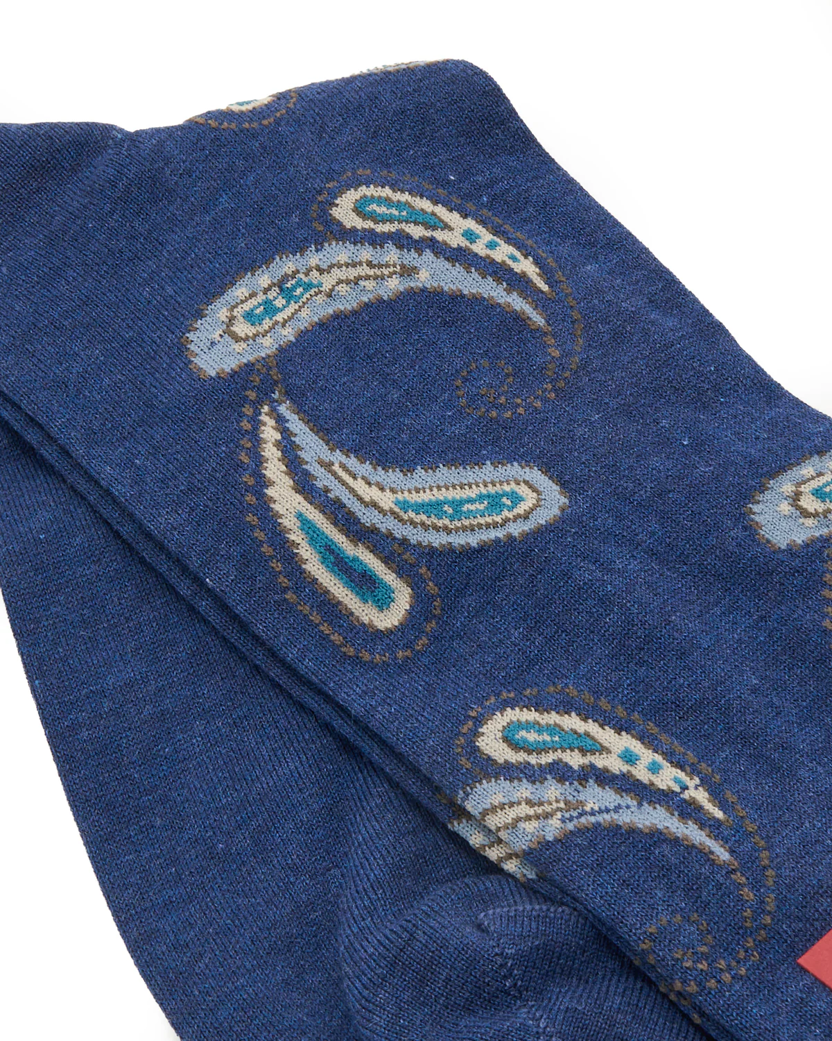 Pima Cotton Agra Paisley - Image 2
