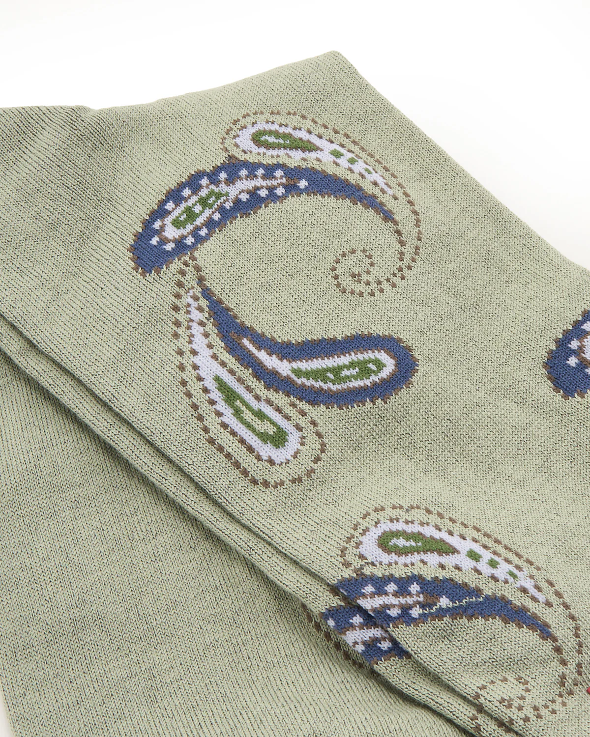 Pima Cotton Agra Paisley - Image 2