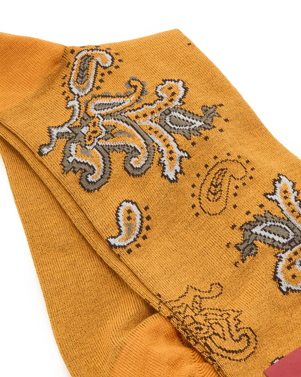 Pima Cotton Jali Paisley - Image 2